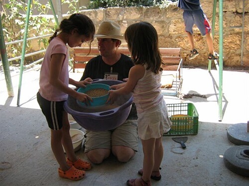 שביל פרות החלב